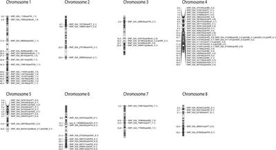 Multi-Locus Genome-Wide Association Studies Reveal Fruit Quality Hotspots in Peach Genome